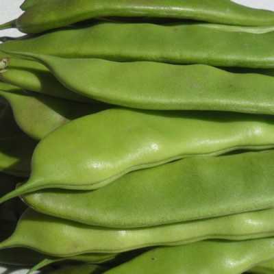 南方哪里豆角多(南方哪里豆角多一点)-第3张图片-厨房小当家 南方哪里豆角多(南方哪里豆角多一点)-第3张图片-厨房小当家