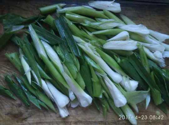 蒜苗要从哪里剪(蒜苗可以割着吃吗)-第2张图片-厨房小当家 蒜苗要从哪里剪(蒜苗可以割着吃吗)-第2张图片-厨房小当家