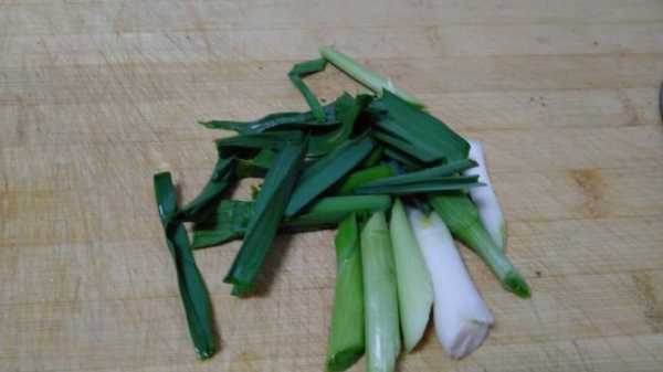 蒜苗要从哪里剪(蒜苗可以割着吃吗)-第3张图片-厨房小当家 蒜苗要从哪里剪(蒜苗可以割着吃吗)-第3张图片-厨房小当家