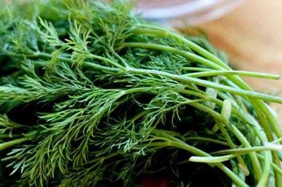 茴香和韭菜哪个有营养,茴香哪里有营养价值-第2张图片-厨房小当家 茴香和韭菜哪个有营养,茴香哪里有营养价值-第2张图片-厨房小当家