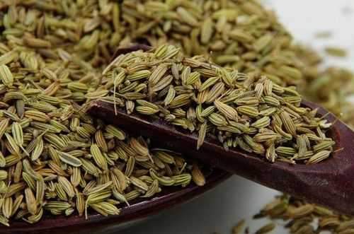 茴香和韭菜哪个有营养,茴香哪里有营养价值-第1张图片-厨房小当家 茴香和韭菜哪个有营养,茴香哪里有营养价值-第1张图片-厨房小当家