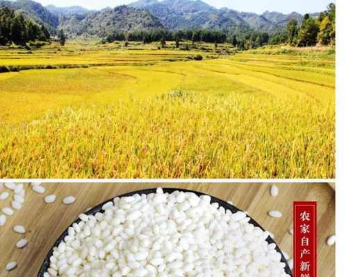 山西哪里产江米(馏米是什么)-第1张图片-厨房小当家 山西哪里产江米(馏米是什么)-第1张图片-厨房小当家