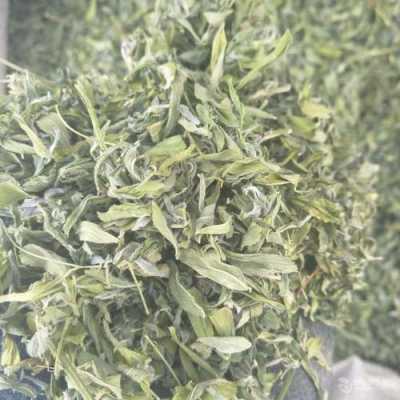 哪里买香草豆(圆西子是什么香料)-第2张图片-厨房小当家 哪里买香草豆(圆西子是什么香料)-第2张图片-厨房小当家