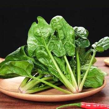 夏天菠菜产自哪里(7月份有菠菜吗)-第2张图片-厨房小当家 夏天菠菜产自哪里(7月份有菠菜吗)-第2张图片-厨房小当家