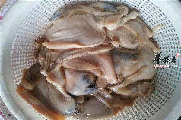 河蚌哪里能吃图片(河蚌肉哪里可以吃)-第2张图片-厨房小当家 河蚌哪里能吃图片(河蚌肉哪里可以吃)-第2张图片-厨房小当家