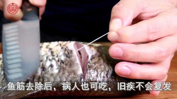 鲤鱼抽筋在哪里(鲤鱼抽筋在哪里抽)-第2张图片-厨房小当家 鲤鱼抽筋在哪里(鲤鱼抽筋在哪里抽)-第2张图片-厨房小当家