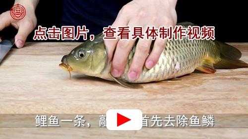 鲤鱼抽筋在哪里(鲤鱼抽筋在哪里抽)-第1张图片-厨房小当家 鲤鱼抽筋在哪里(鲤鱼抽筋在哪里抽)-第1张图片-厨房小当家