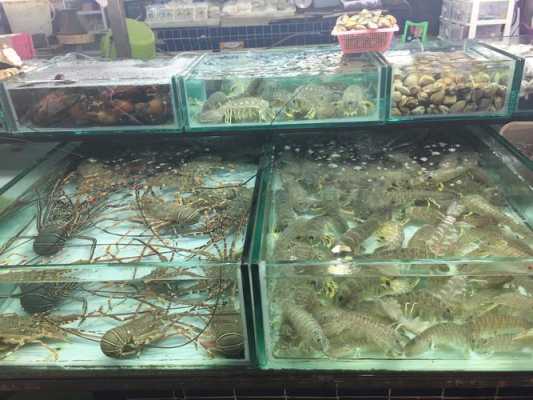 投资一个海鲜店怎么样(农村卖海鲜利润怎么样)-第2张图片-厨房小当家 投资一个海鲜店怎么样(农村卖海鲜利润怎么样)-第2张图片-厨房小当家