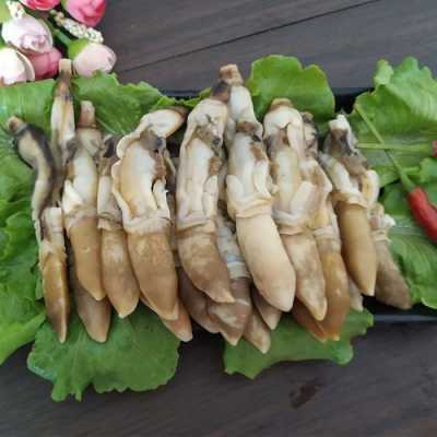 圣子王吃哪里(圣子王吃哪里的肉)-第3张图片-厨房小当家 圣子王吃哪里(圣子王吃哪里的肉)-第3张图片-厨房小当家