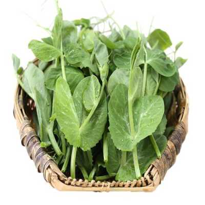豌豆尖要去哪里(豌豆尖在浙江叫什么)-第3张图片-厨房小当家 豌豆尖要去哪里(豌豆尖在浙江叫什么)-第3张图片-厨房小当家