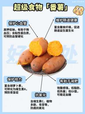 红薯哪里有营养(红薯哪里有营养价值)-第1张图片-厨房小当家 红薯哪里有营养(红薯哪里有营养价值)-第1张图片-厨房小当家