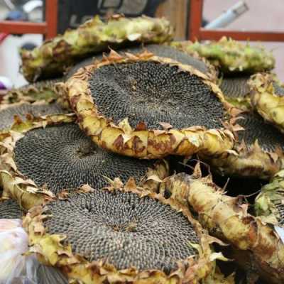 哪里卖葵花饼(哪里卖葵花饼好)-第2张图片-厨房小当家 哪里卖葵花饼(哪里卖葵花饼好)-第2张图片-厨房小当家
