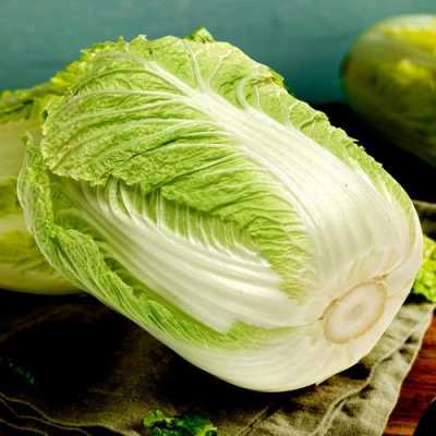 山东哪里的 白菜(山东哪里的白菜最好)-第2张图片-厨房小当家 山东哪里的 白菜(山东哪里的白菜最好)-第2张图片-厨房小当家