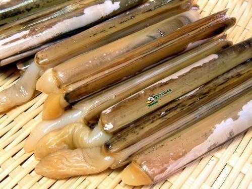 莱州哪里产蛏子(莱州具体在什么地方)-第3张图片-厨房小当家 莱州哪里产蛏子(莱州具体在什么地方)-第3张图片-厨房小当家