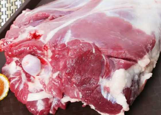 哪里羊肉不膻（为什么西北的牛羊肉不膻）-第3张图片-厨房小当家