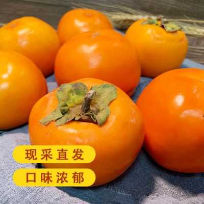 脆柿哪里买(脆柿子哪里有卖的)-第3张图片-厨房小当家 脆柿哪里买(脆柿子哪里有卖的)-第3张图片-厨房小当家