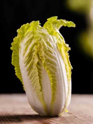 娃娃菜源自哪里(娃娃菜为什么叫娃娃菜)-第3张图片-厨房小当家 娃娃菜源自哪里(娃娃菜为什么叫娃娃菜)-第3张图片-厨房小当家