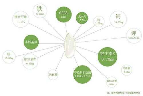 大米成分去哪里(大米的成分有什么)-第2张图片-厨房小当家 大米成分去哪里(大米的成分有什么)-第2张图片-厨房小当家