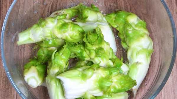 温州哪里要配菜(温州泡儿菜的做法)-第2张图片-厨房小当家 温州哪里要配菜(温州泡儿菜的做法)-第2张图片-厨房小当家