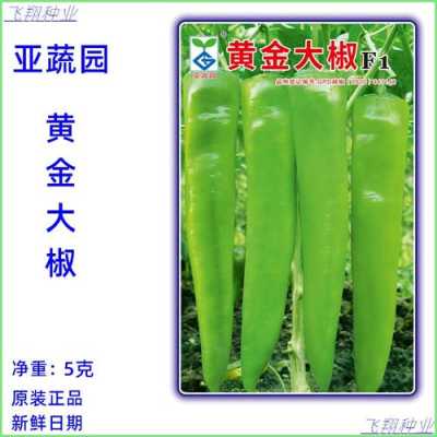 黄金辣椒哪里买(黄金辣椒哪里买的到)-第3张图片-厨房小当家 黄金辣椒哪里买(黄金辣椒哪里买的到)-第3张图片-厨房小当家