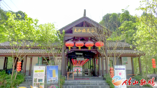 哪里有梅栗子(竹山太和梅花谷自助游攻略)-第2张图片-厨房小当家 哪里有梅栗子(竹山太和梅花谷自助游攻略)-第2张图片-厨房小当家