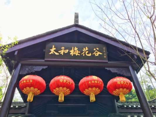 哪里有梅栗子(竹山太和梅花谷自助游攻略)-第3张图片-厨房小当家 哪里有梅栗子(竹山太和梅花谷自助游攻略)-第3张图片-厨房小当家