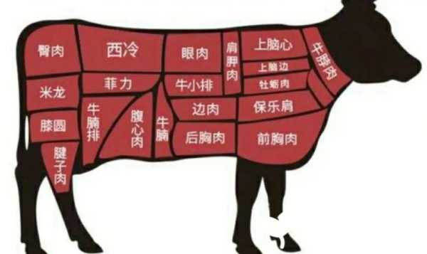 纯瘦的牛肉是哪个部位,牛肉哪里比较瘦肉-第2张图片-厨房小当家 纯瘦的牛肉是哪个部位,牛肉哪里比较瘦肉-第2张图片-厨房小当家