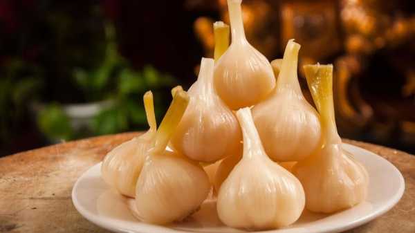 哪里的蒜好吃(哪里的蒜好吃不辣)-第2张图片-厨房小当家 哪里的蒜好吃(哪里的蒜好吃不辣)-第2张图片-厨房小当家