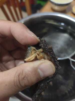 海参哪里是沙嘴(海参的嘴巴是怎样的)-第2张图片-厨房小当家 海参哪里是沙嘴(海参的嘴巴是怎样的)-第2张图片-厨房小当家