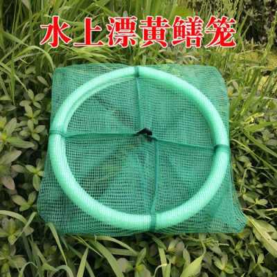 下鳝鱼什么笼子最好,黄鳝哪里最补肾-第2张图片-厨房小当家 下鳝鱼什么笼子最好,黄鳝哪里最补肾-第2张图片-厨房小当家