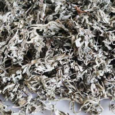 艾草汁哪里买(艾草汁哪里买得到)-第3张图片-厨房小当家 艾草汁哪里买(艾草汁哪里买得到)-第3张图片-厨房小当家