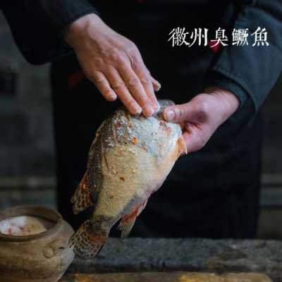 安徽哪里收桂鱼(安徽臭鳜鱼哪里最正宗)-第2张图片-厨房小当家 安徽哪里收桂鱼(安徽臭鳜鱼哪里最正宗)-第2张图片-厨房小当家