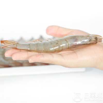 哪里有白虾(国内白虾产地)-第3张图片-厨房小当家 哪里有白虾(国内白虾产地)-第3张图片-厨房小当家