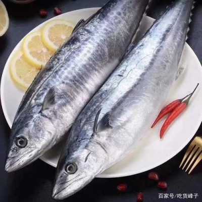 鲐鲅鱼哪里多(全中国哪个省份鱼最多)-第2张图片-厨房小当家 鲐鲅鱼哪里多(全中国哪个省份鱼最多)-第2张图片-厨房小当家