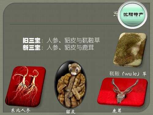 东北三宝主产区,哪里喜欢鹿茸人参呢-第1张图片-厨房小当家 东北三宝主产区,哪里喜欢鹿茸人参呢-第1张图片-厨房小当家