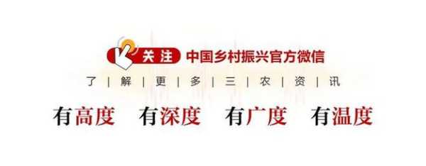 哪里收地皮菜(我想回乡做蔬菜种植,大家看前景如何)-第3张图片-厨房小当家 哪里收地皮菜(我想回乡做蔬菜种植,大家看前景如何)-第3张图片-厨房小当家