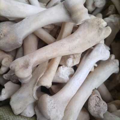 羊骨头哪里学(羊骨怎么脱脂效果最好)-第3张图片-厨房小当家 羊骨头哪里学(羊骨怎么脱脂效果最好)-第3张图片-厨房小当家