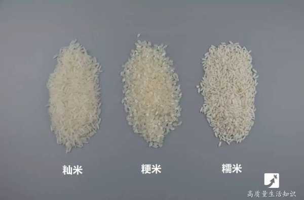 籼稻的产地是哪里,哪里的籼米好吃-第2张图片-厨房小当家 籼稻的产地是哪里,哪里的籼米好吃-第2张图片-厨房小当家