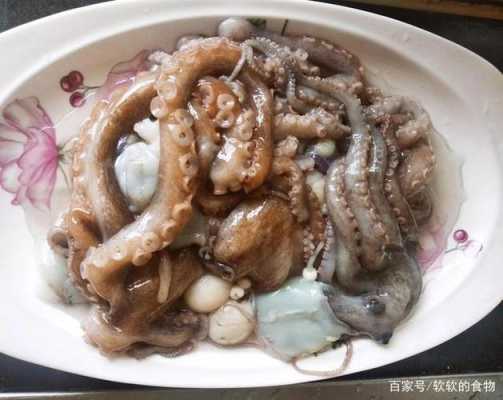 章鱼炖哪里有(章鱼炖哪里有卖的)-第1张图片-厨房小当家 章鱼炖哪里有(章鱼炖哪里有卖的)-第1张图片-厨房小当家