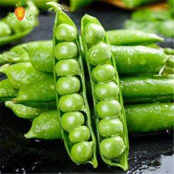 什么豌豆最强,哪里的碗豆好吃又便宜-第3张图片-厨房小当家 什么豌豆最强,哪里的碗豆好吃又便宜-第3张图片-厨房小当家