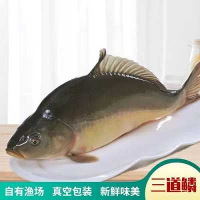 哪里有鱼鳞吃(三道鳞鱼为什么南方没人吃)-第3张图片-厨房小当家 哪里有鱼鳞吃(三道鳞鱼为什么南方没人吃)-第3张图片-厨房小当家