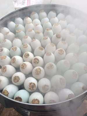糯米咸蛋是哪里(糯米咸蛋是哪里的特产)-第3张图片-厨房小当家 糯米咸蛋是哪里(糯米咸蛋是哪里的特产)-第3张图片-厨房小当家
