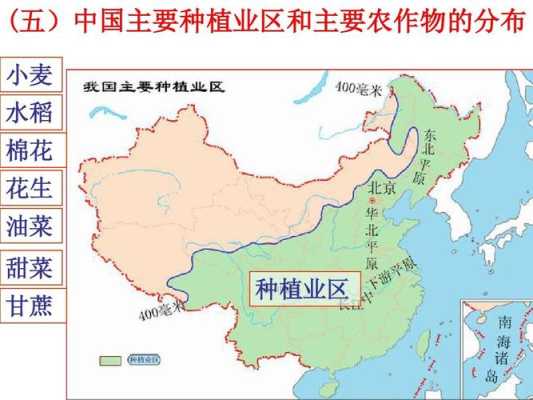 小麦从哪里走(小麦从哪里走出来的)-第3张图片-厨房小当家 小麦从哪里走(小麦从哪里走出来的)-第3张图片-厨房小当家