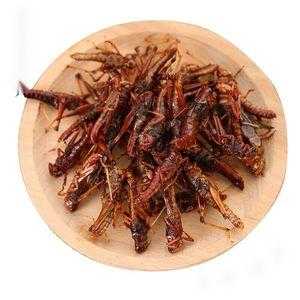 炸蚂蚱吃哪里(蝗尚驾到香酥蚂蚱的做法)-第3张图片-厨房小当家 炸蚂蚱吃哪里(蝗尚驾到香酥蚂蚱的做法)-第3张图片-厨房小当家