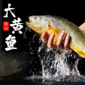 黄鱼铁皮是哪里(过年年货)-第1张图片-厨房小当家 黄鱼铁皮是哪里(过年年货)-第1张图片-厨房小当家