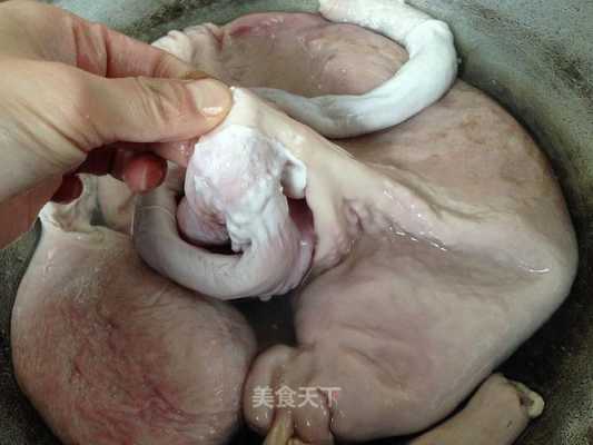 猪肚肠是哪里(红肠小肚是什么)-第3张图片-厨房小当家 猪肚肠是哪里(红肠小肚是什么)-第3张图片-厨房小当家