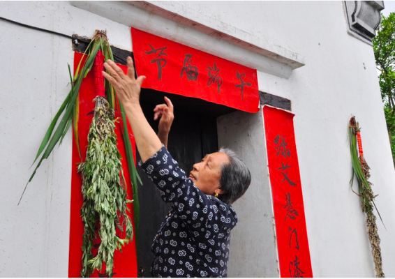 桐乡哪里有艾草(桐乡哪里有艾草买)-第2张图片-厨房小当家 桐乡哪里有艾草(桐乡哪里有艾草买)-第2张图片-厨房小当家