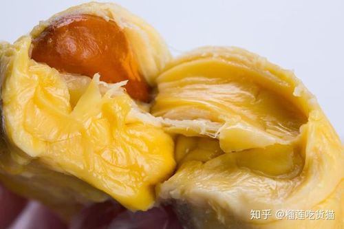 榴莲皮哪里有用(榴莲皮哪里能吃)-第3张图片-厨房小当家 榴莲皮哪里有用(榴莲皮哪里能吃)-第3张图片-厨房小当家