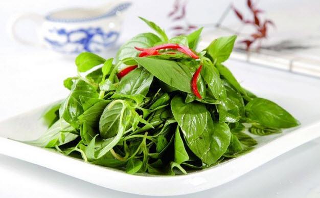 荆芥都是哪里人吃,荆芥菜哪里吃法最好-第1张图片-厨房小当家 荆芥都是哪里人吃,荆芥菜哪里吃法最好-第1张图片-厨房小当家