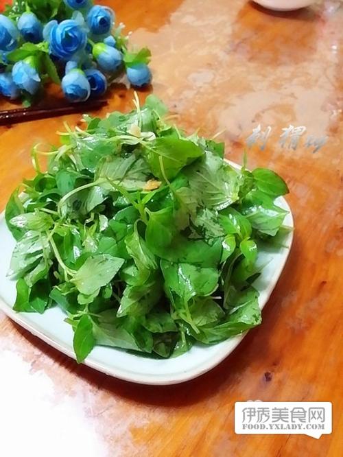 荆芥都是哪里人吃,荆芥菜哪里吃法最好-第3张图片-厨房小当家 荆芥都是哪里人吃,荆芥菜哪里吃法最好-第3张图片-厨房小当家